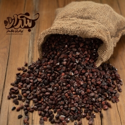انچوچک درجه 1 - هسته گلابی کوهی