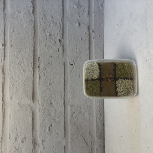 رنگینک 350 گرمی