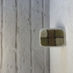رنگینک 350 گرمی